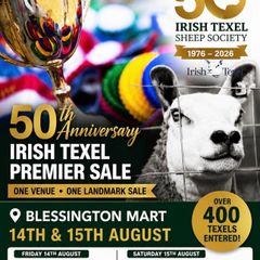 400 Texels for Sale