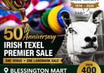 400 Texels for Sale