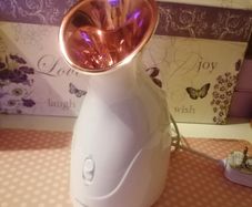NEW - Face Steamer