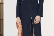 Zara Denim Dress