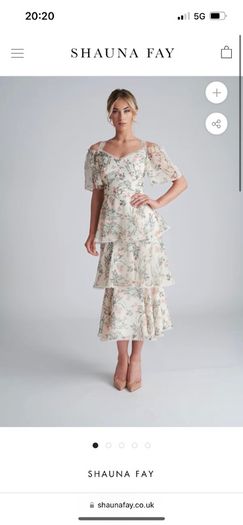 Shauna Fay Dress