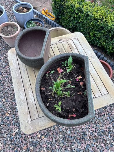 Wall planters