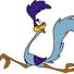 roadrunner2012