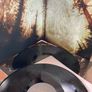 Wolves In The Throne Room - Celestial Linage Image 5