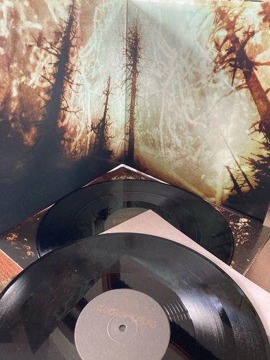 Wolves In The Throne Room - Celestial Linage