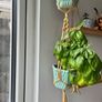 plant hanger and pots Image 3