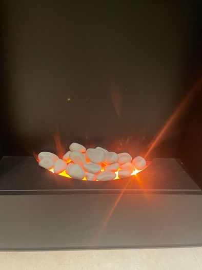 Electric fire