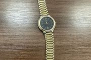 Citizen watch