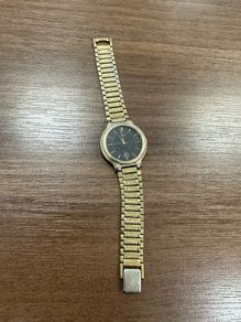 Citizen watch