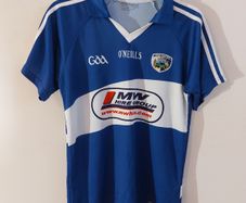 laois gaa jersey