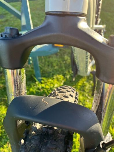 Specialized Rockhopper Base