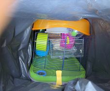 Hamster cage