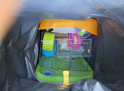 Hamster cage