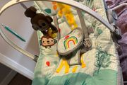 baby bouncer