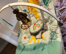 baby bouncer