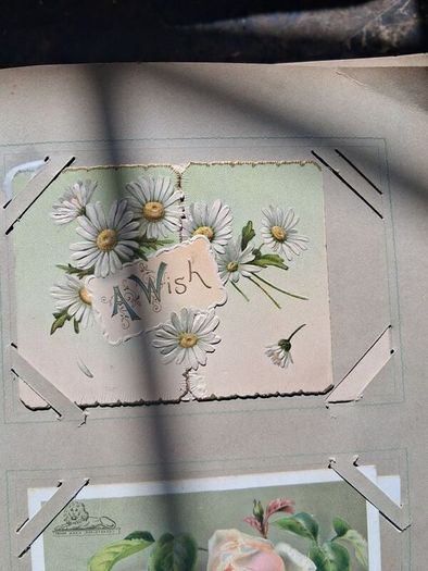 Mega Art Nouveau Postcard Album (197 Pieces)