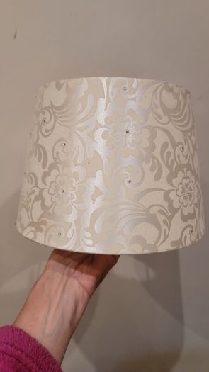 Free Lampshades x2