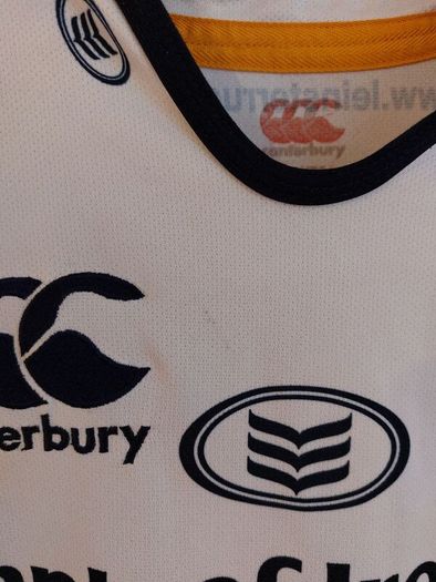 Leinster rugby jersey