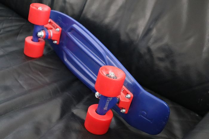 Penny board  mini skateboard  22inc