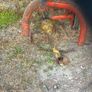 Mower Image 3