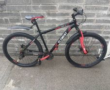 Adult's Bike