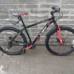 Adult's Bike