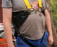 Harness