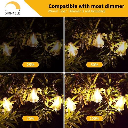 Outdoor LED String Lights 60FT, 18M ST38 Garden Festoon Light Mains Powered, Waterproof LED Hanging Lighting for Outside Indoor Patio Cafe Party, 2700K Warm White 30+1 Plastic Bulbs (FREE SHIPPING)