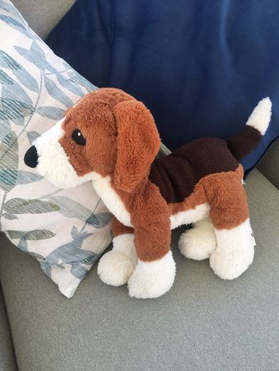 Cute soft toys dog