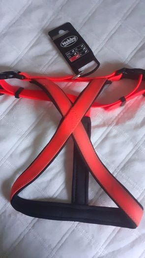 Dog Leads Harnesses Etc. BNWT Nobby