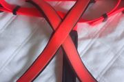 Huge selection Dog Leads Harnesses Collars BNWT