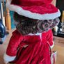 Porcelain doll - Leonardo collection -vintage Image 3
