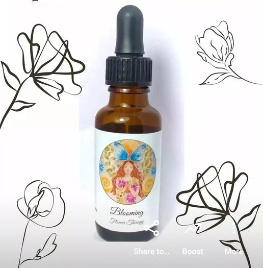 Bach Flower Remedies Tailored mix made by a Bach Center Practitioner