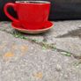 flowerpots Image 2