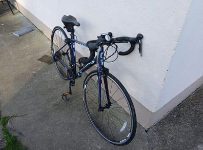 Ladies Bike