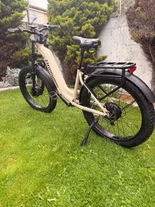 e bike