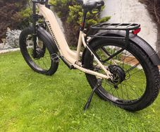 e bike