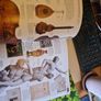 3 DK books Dorling Kindersley Image 3