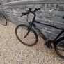 Adults Bike Image 9