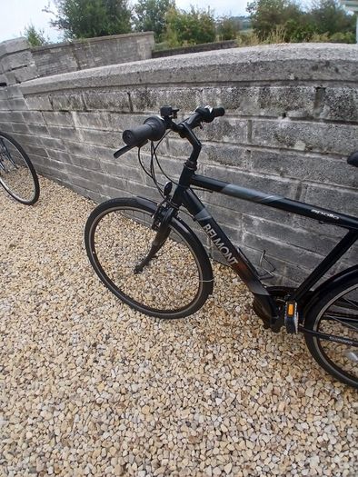 Adults Bike