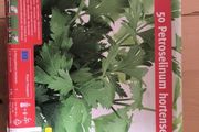Parsley