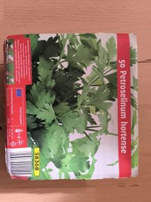 Parsley