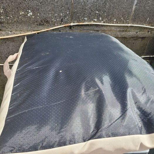 dog bed