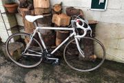 Vintage Falcon Racer. White. 28" Wheels. Excellent Condition