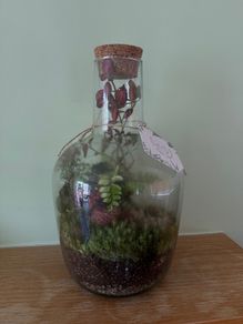 Large Closed Terrarium / Bottle Garden
