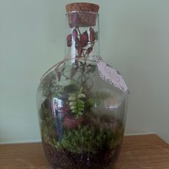 Large Closed Terrarium / Bottle Garden