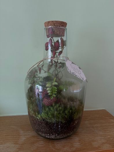 Large Closed Terrarium / Bottle Garden