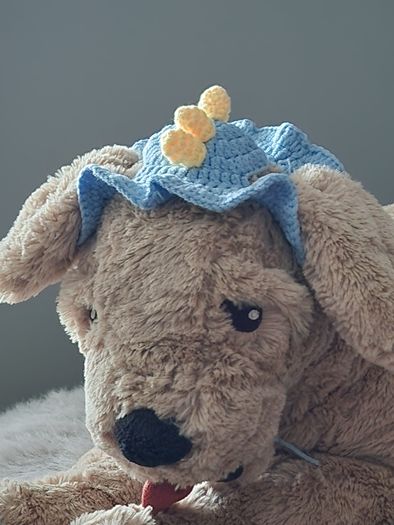 pet hat handmade