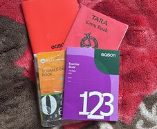 Squared and lined copy notebooks