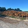 Alder ex forestry for sale Image 2